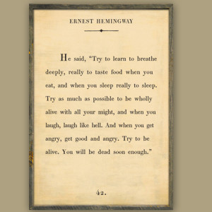 Ernest Hemingway Book Quote - Box Brownie