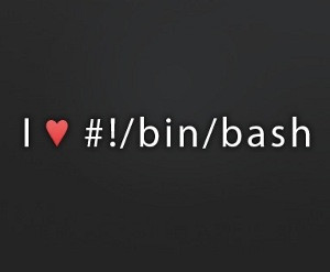 Bash Script Parameters Parse