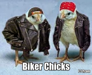 Funny Biker Chicks Joke Picture - Hilarious two chicks dressed up as ...