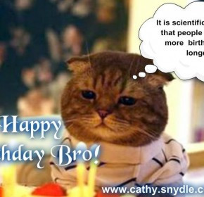 funny happy birthday brother quotes funny happy birthday brother ...