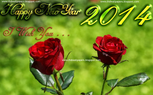 Latest Happy New Year 2014 Best Wishes Photos Wallpapers
