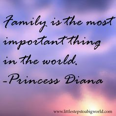 Family is the most important thing in the world.