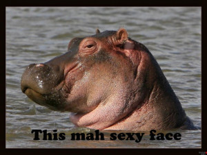 SIGN UP FOR THE NEW UBERHUMOR NEWSLETTER