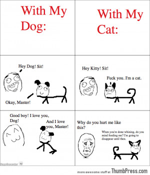 dogs are better than cat meme