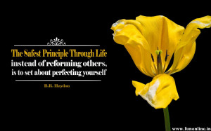 Beautiful Sayings for Inspiration