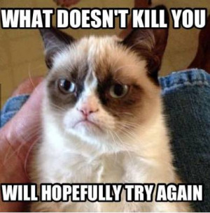 What doesn't kill you... - Grumpy Cat Picture