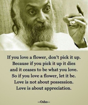 Why Nature Lovers Should Live Apart From Nature