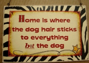 home is where the dog hair sticks to everything but the dog