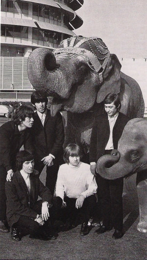 Bill Wyman Brian Jones Mick Jagger Keith Richards And Charlie Watts