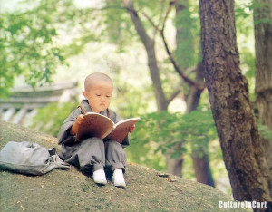 cute kung fu china monk chinese culture shaolin temple