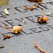 Bible Verses for Fighting Your Fear of Death