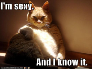 Sexy And I Know It -Image #238,960