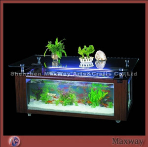 Related Pictures fish tank aquarium