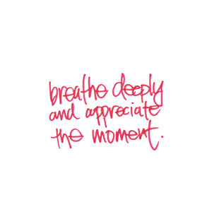 lululemon athletica, yoga-inspired athletic apparel: goal setting