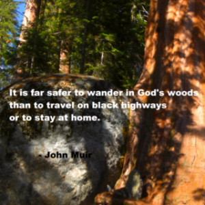 John Muir Quotes