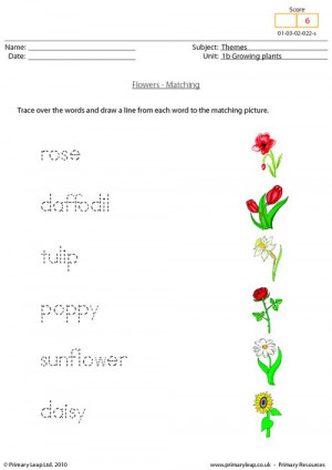 Flower Matching Worksheet