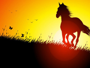 horse-running-at-sunset