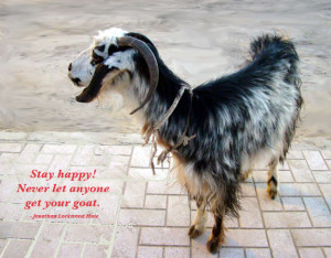 Stay Happy, never let anyone get your goat.