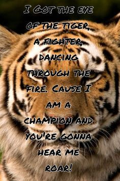 katy perry roar | Roar- Katy Perry | Quotes More