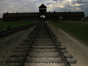 shocking-holocaust-study-claims-nazis-killed-up-to-20-million-people ...