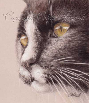 Custom cat drawing on the easel Colette Theriault Animal Art