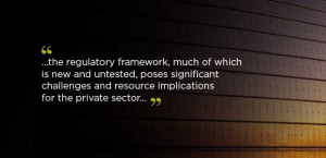 the regulatory framework, much of which is new and untested, poses ...