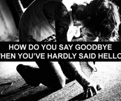 Bmth Quotes