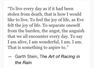 Garth Stein, The Art of Racing in the Rain #quotes: Books Fuck, Dogs ...
