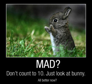 Funny Quotes about Life happy bunny