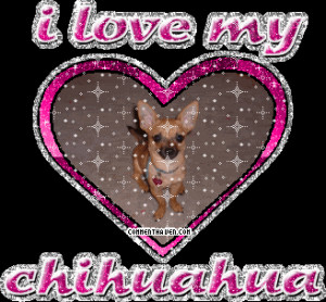 All Graphics » Chihuahua