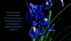 Beethoven Quotes Dont Only Practice Your Art Don t only practice your ...