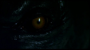 Werewolf Quotes And Sayings Movie - werewolf the beast