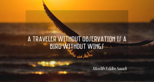 traveler without observation is a bird without wings. – Moslih ...