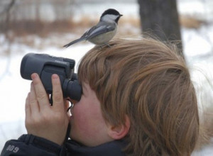 Bird Watching for Children