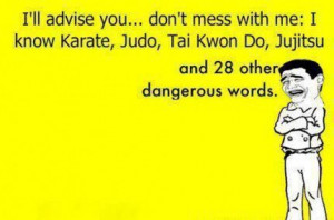 don't mess with me: I know Karate, Judo, Tai Kwon Do, Jujitsu and 28 ...