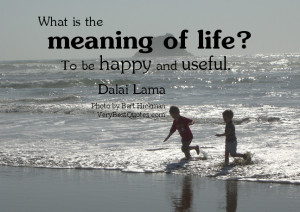 What is the meaning of life? To be happy and useful. H.H. the Dalai ...