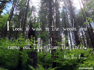 Hiking Quotes: Wisdom for the Trail