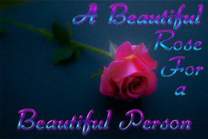Beautiful Rose For a Beautiful Person