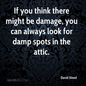 ... might be damage, you can always look for damp spots in the attic