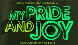 ALL-BIZ - MY PRIDE AND JOY - PRODUCED BY - VINTAGE BEATS