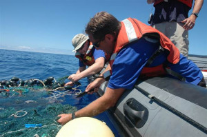 Study: Plastic in 'Great Pacific Garbage Patch' increases 100-fold