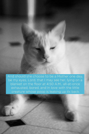 ... cute cats inspirational Tina Fey inspirational quotes bossypants fey