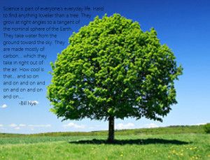 than a tree… motivational inspirational love life quotes sayings ...