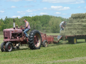 Baling hay on our Iowa farm was a group effort. To “make hay ...