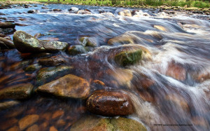 Stream Flowing Over Rocks in Derbyshire - Stream Background ...