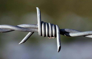 Home > High Tensile Barbed Wire - 200m x 1.6mm x 1.45mm
