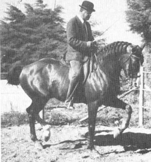 Nuno Oliveira, Classical Dressage Master