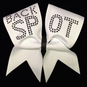 Back Spot Cheerleading Quotes