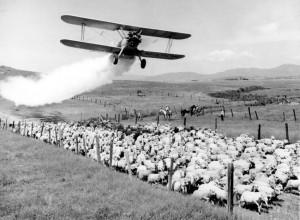 crop-duster spreading DDT on a ranch in Oregon in 1948. Credit ...