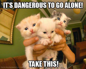It is dangerous to go alone. Please take the cats with you.